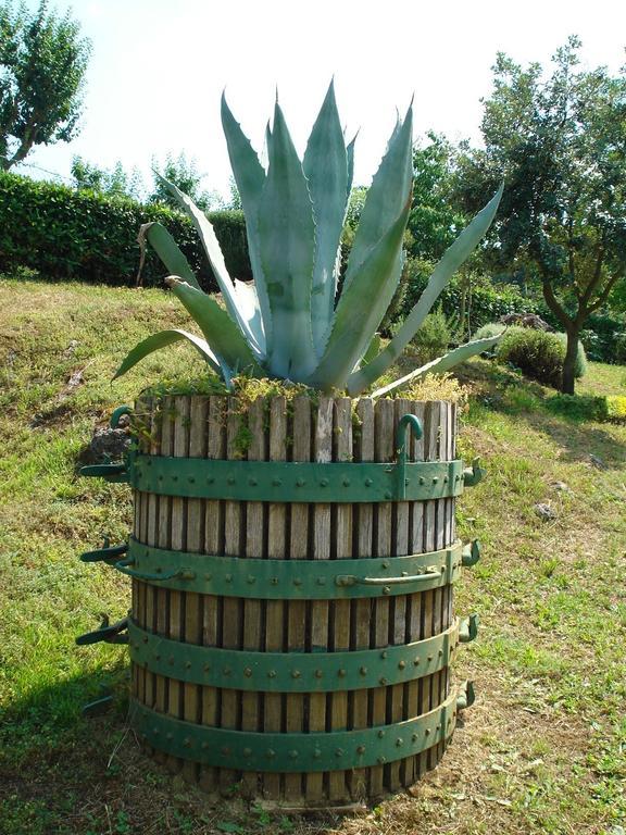 Agriturismo La Vigna San Gimignano Eksteriør billede