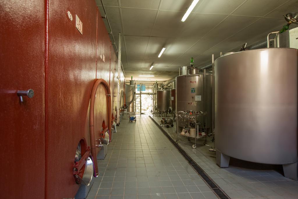 Agriturismo La Vigna San Gimignano Eksteriør billede