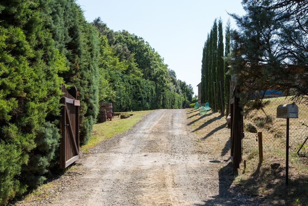 Agriturismo La Vigna San Gimignano Eksteriør billede